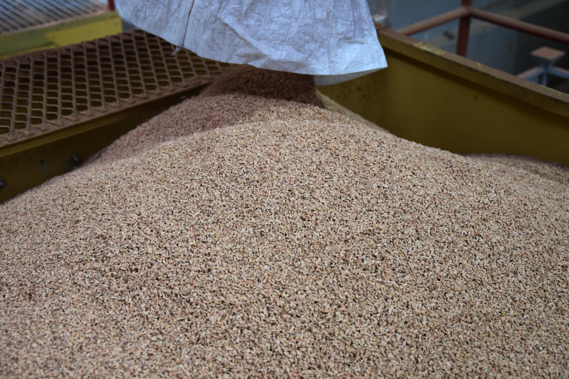Macro view of calibrated cork granules