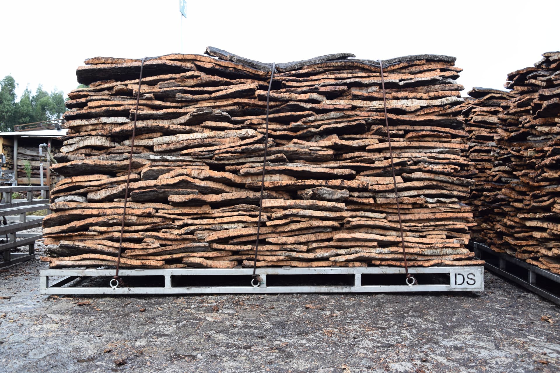 Stacked raw cork planks on pallets in the yard