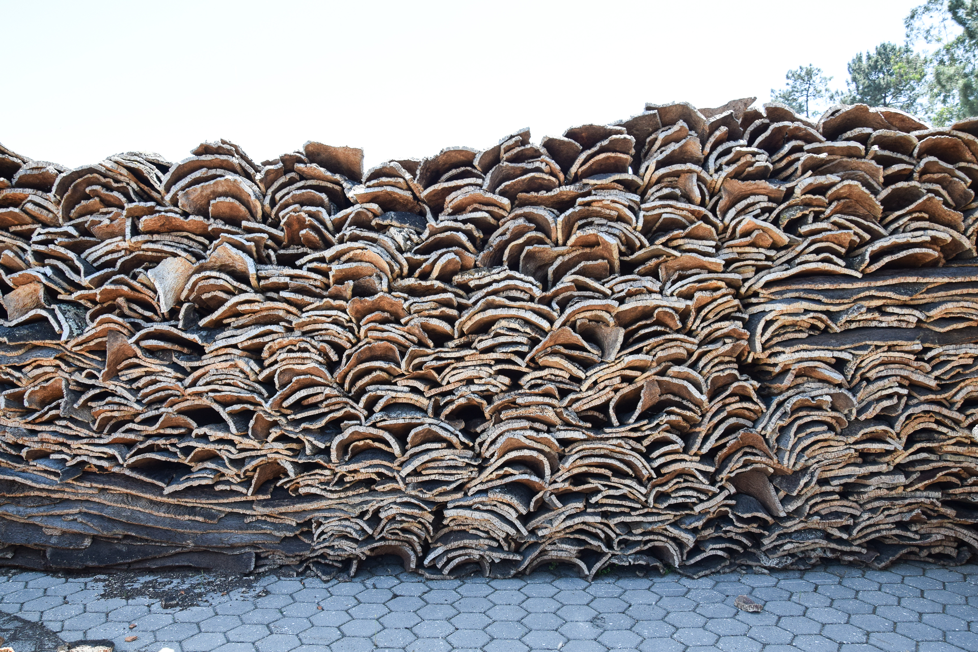Raw Cork