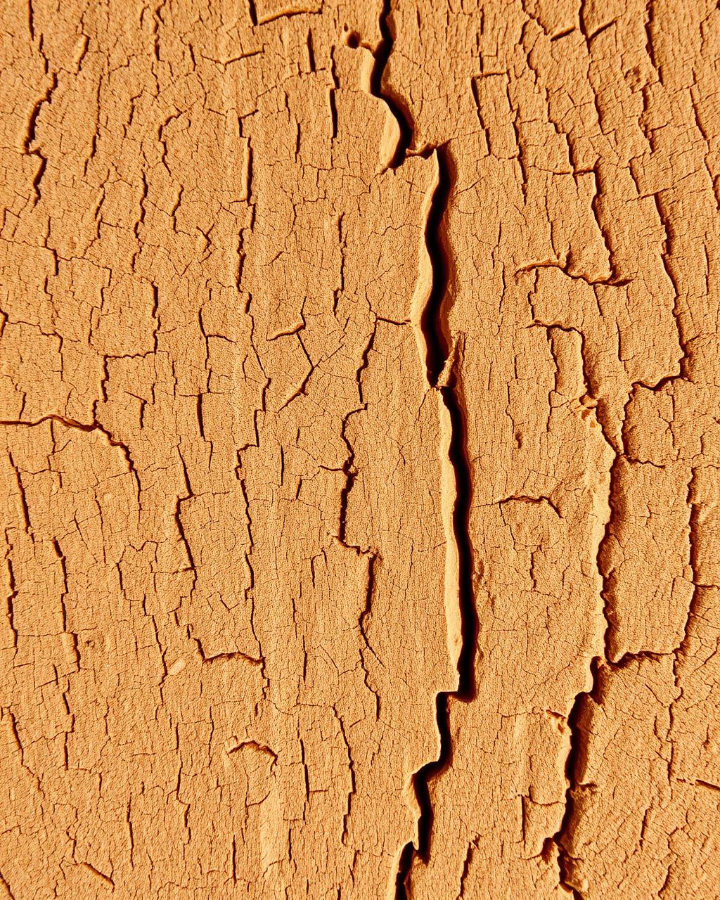 Close-up of a raw cork bark plank