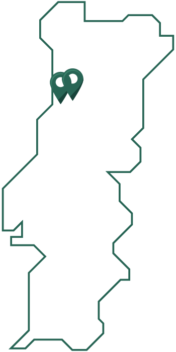 Mapa de Portugal com dois de pines