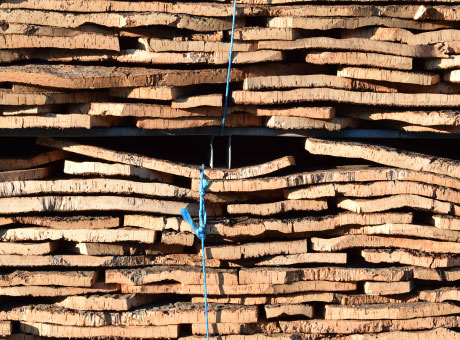 Cork boards